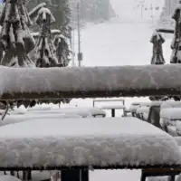 snijeg jahorina 25 IMG 5308