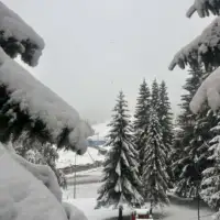snijeg jahorina 25 IMG 5307