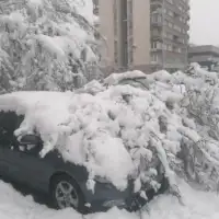 Snijeg drvo cengic vila
