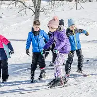 Ajdinovići