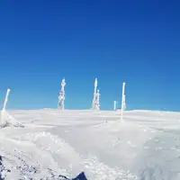 250101116 9