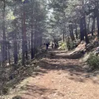 Cavljak3