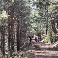 Cavljak4