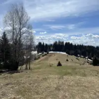 Cavljak10