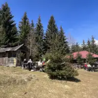 Cavljak11
