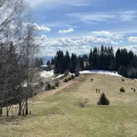 Cavljak13