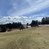 Cavljak14