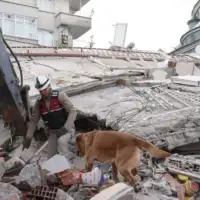 Zemljotres turskarusevine malatya aa7