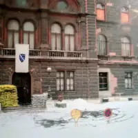 Zastava ljiljani