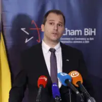 nedim hamzic
