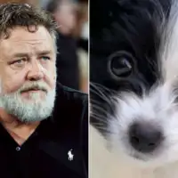 Russell crowe 01 033023 ef1ee685c18242ddb859508ef607b1e2
