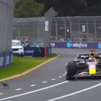 F1