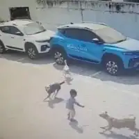 Djecak