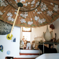 Salvador Dali kuca4