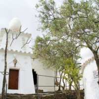 Salvador Dali kuca11