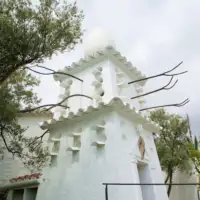 Salvador Dali kuca12