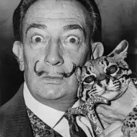 Salvador Dali NYWTS