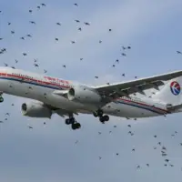 B 6543 7788321152 1024x683