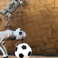 Dribblebot