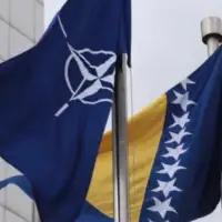 Nato bih