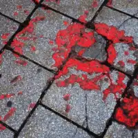 Sarajevske ruze godisnica opsade ambasada sad