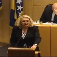 Vlada