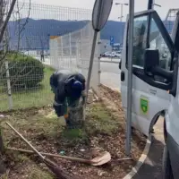 Akcija ciscenja