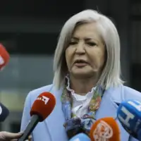 Vasvija vidovic