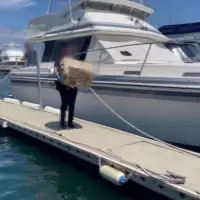 Kokain australija 1677917974