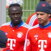Mane sane