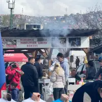 Pijaca 11