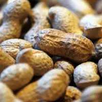 Peanuts g45420fc81 640