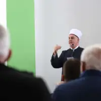 Reis ahmici