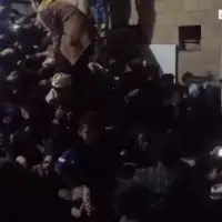Stampedo