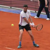 Damir dzumhur 1