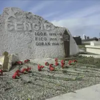 Goran cengic anadolija