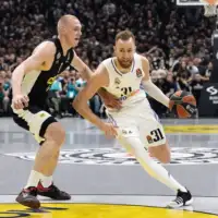 Musa partizan