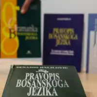 Bosanski jezik