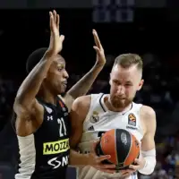 Musa partizan