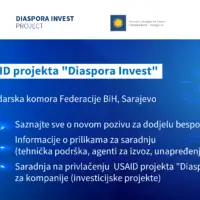 Dijaspora invest