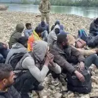 migranti