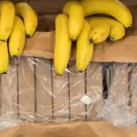 Droga u bananama