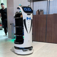 Robot