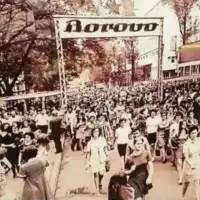 Borovo