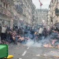 Pariz nered