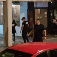 Tuca alipasino