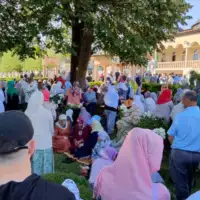 Biljani stradanje kljuc