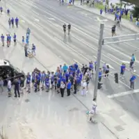 Grbavica zeljo 872x610