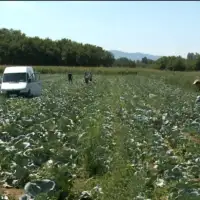 Poljoprivreda Screenshot FTV