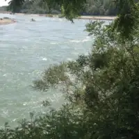 Drina Janja
